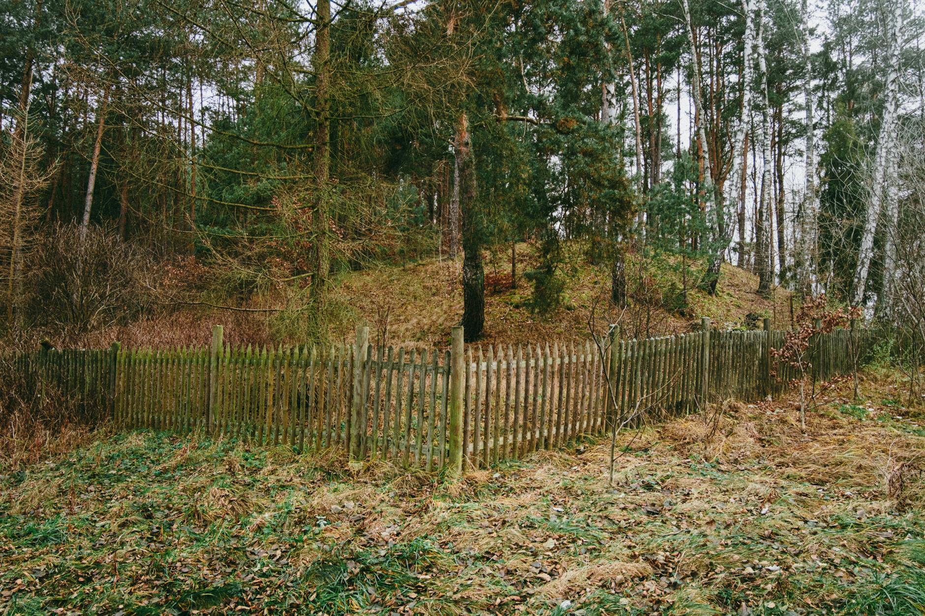 Gmina Ostrów Mazowiecka: Nowe miejsca schronienia z dotacji!